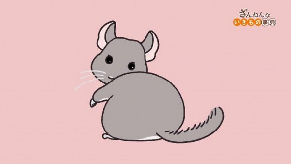 Zannen na Ikimono Jiten (2021)